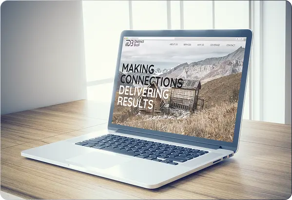 UX Audit of Distinct Buzz website