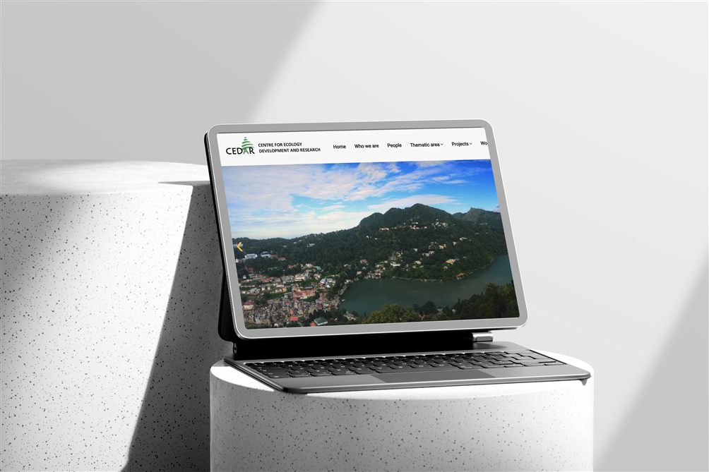 Case Study of Survey Pacific