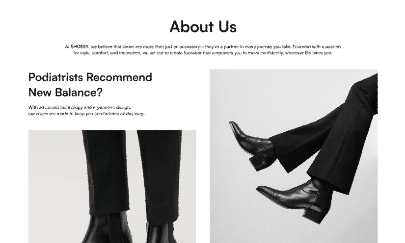 Shoesy - Shoes Landing Page  3