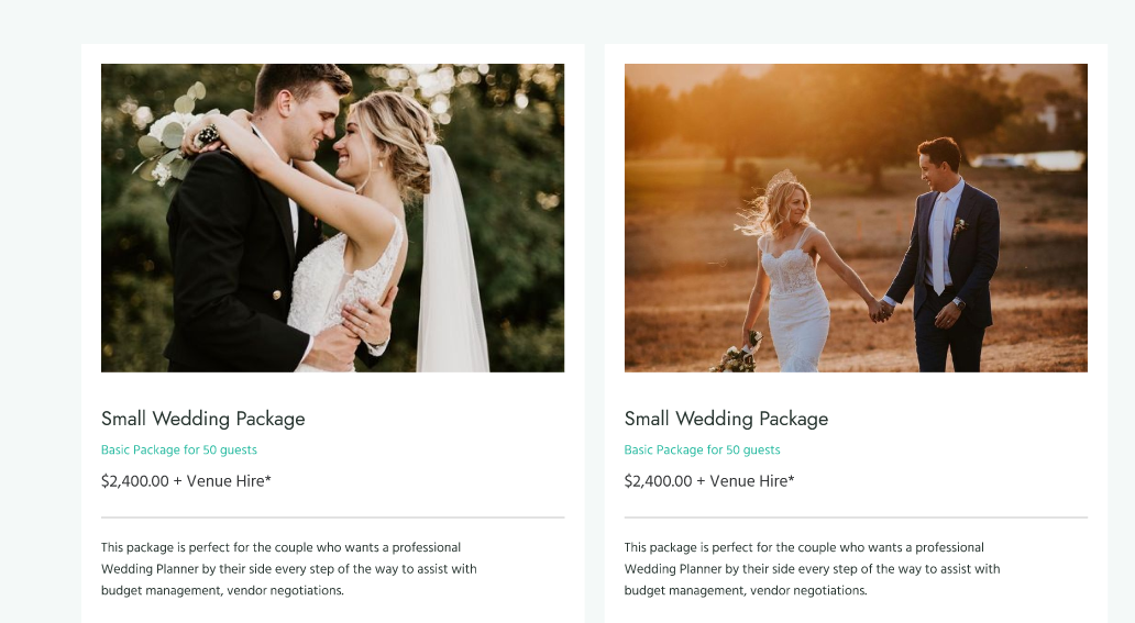 WedPlan – Wedding Planner Landing Page Template  3